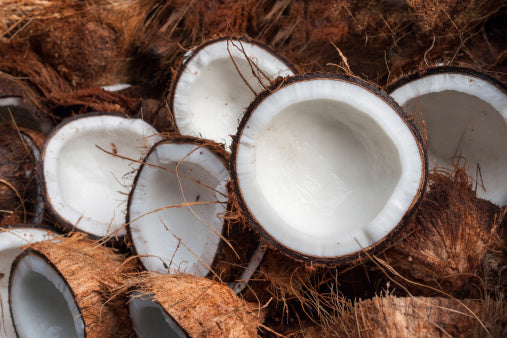Why You Won't See Coconut Oil in Groomer And George Products